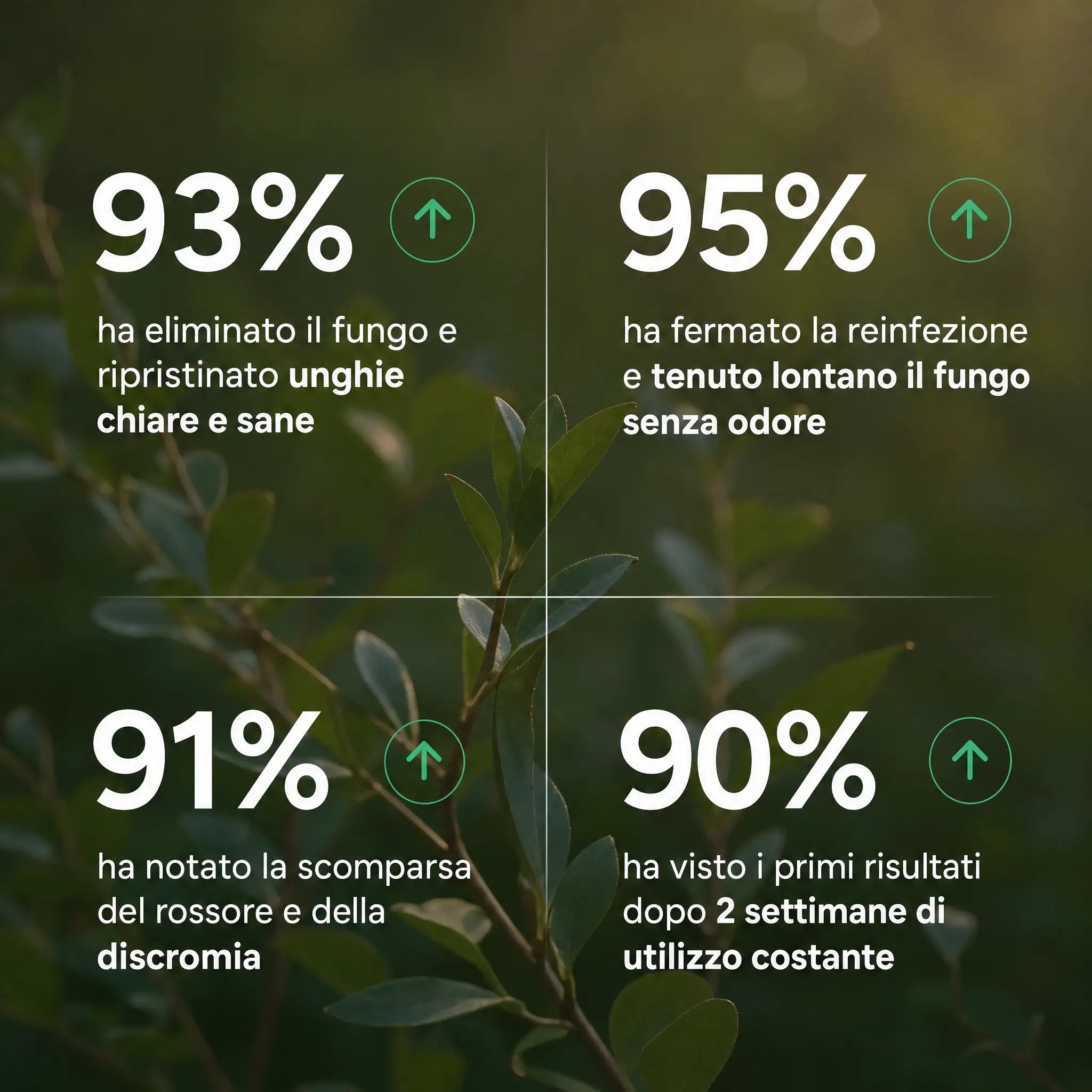 Benessere Totale del Corpo - Total Body Wellness