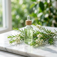 Olio di Albero del Tè